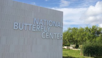 A Wacky MAGA Congressional Candidate Recorded Herself Attacking The Owner Of A Texas Butterfly Sanctuary That’s Been The Target Of Wild Far-Right Conspiracy Theories