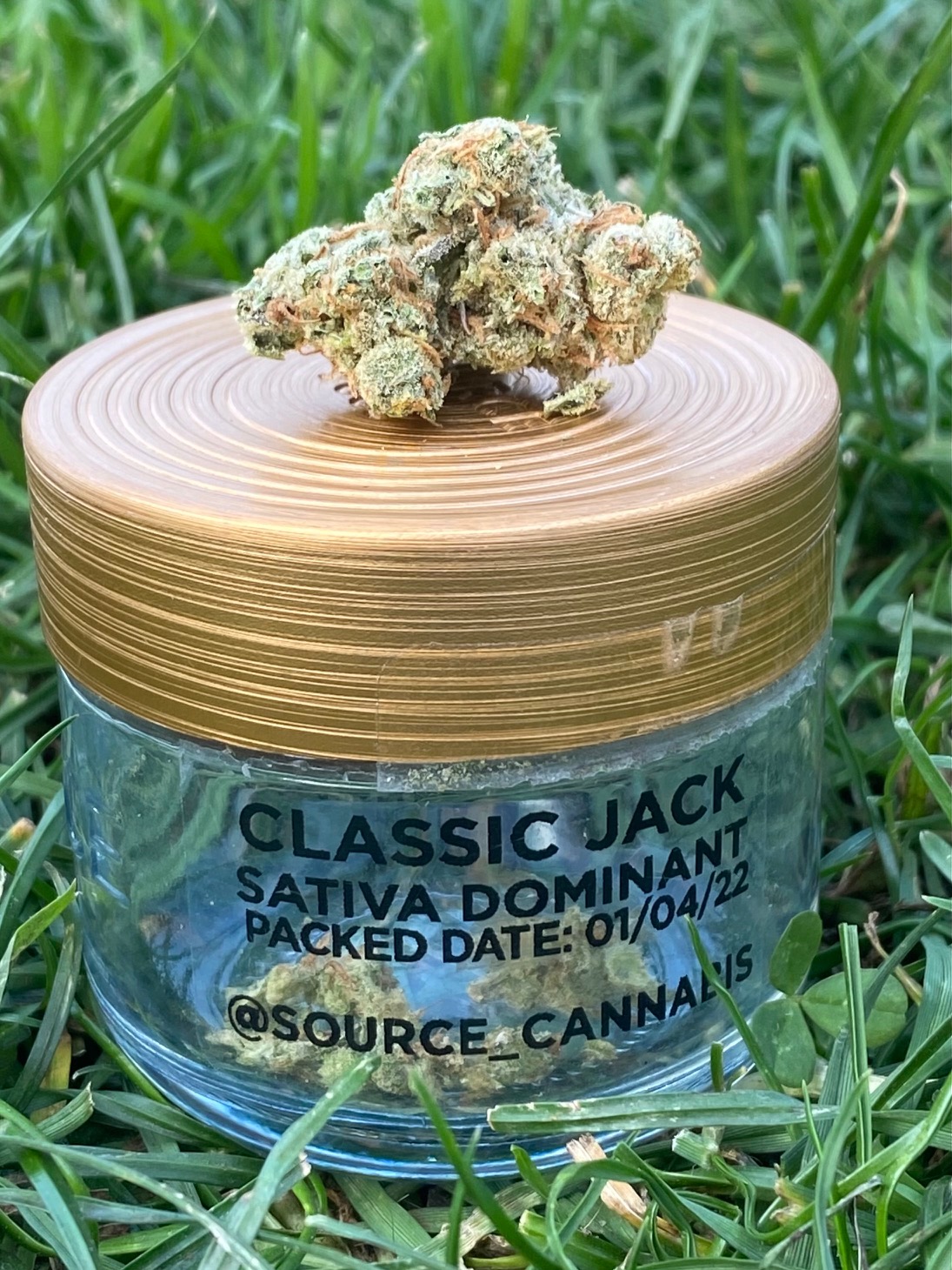 Classic Jack by Source Cannabis