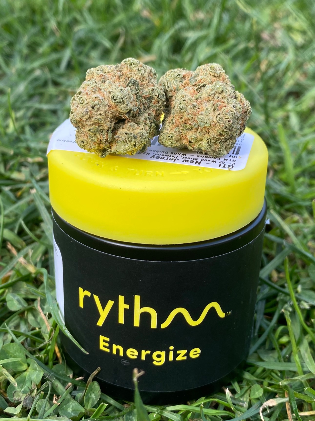 Durban Poison by Rythm