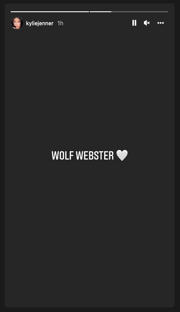 Kylie Jenner Wolf Webster Baby Name Instagram