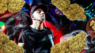 We Tried System Of A Down Bassist Shavo Odadjian’s Weed And It Definitely Surprised Us