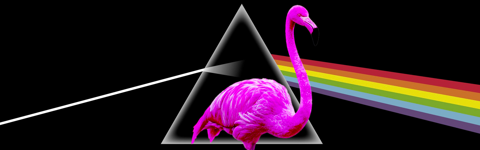 Pink Floyd Flamingo