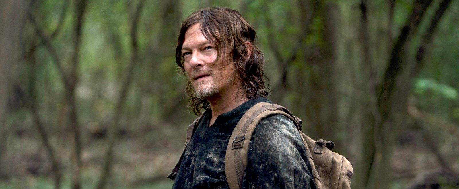 daryl twd