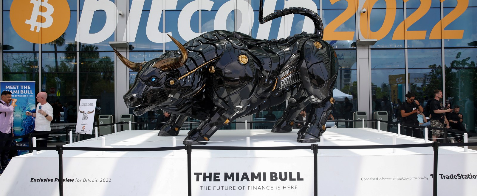 Miami Bull
