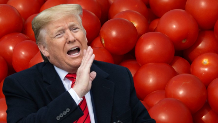 Donald Trump vs Tomatoes