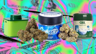 THC-Heavy Weed Strains For 4/20 That Are Actually Worth Their High Prices