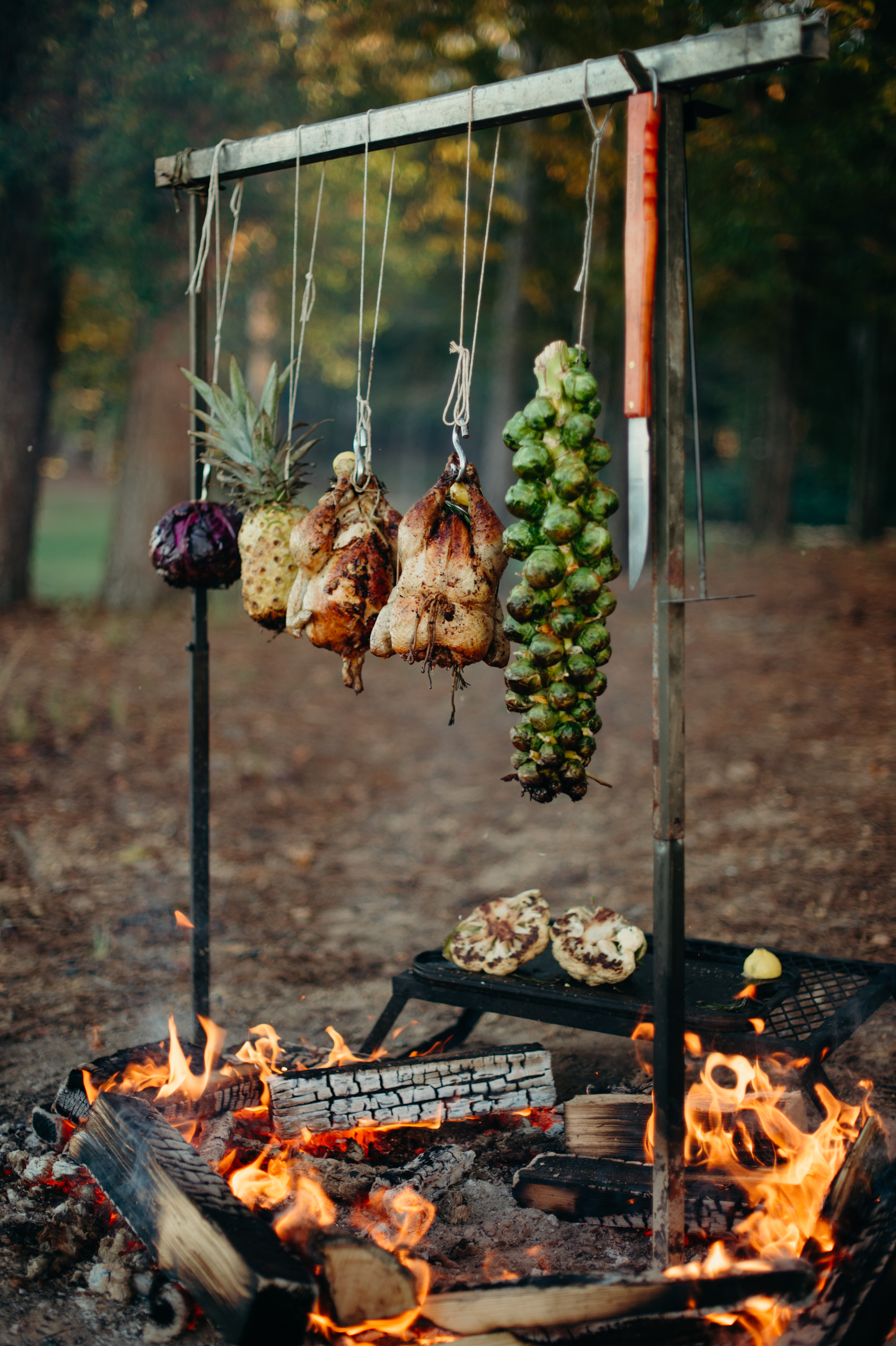 Summer 2023  Grilling Over An Open Fire