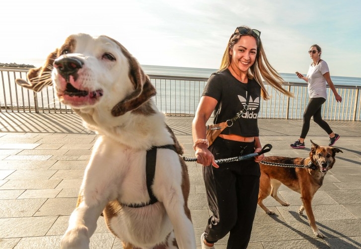 Chewy Customers Pile On With Extraordinary Service Stories