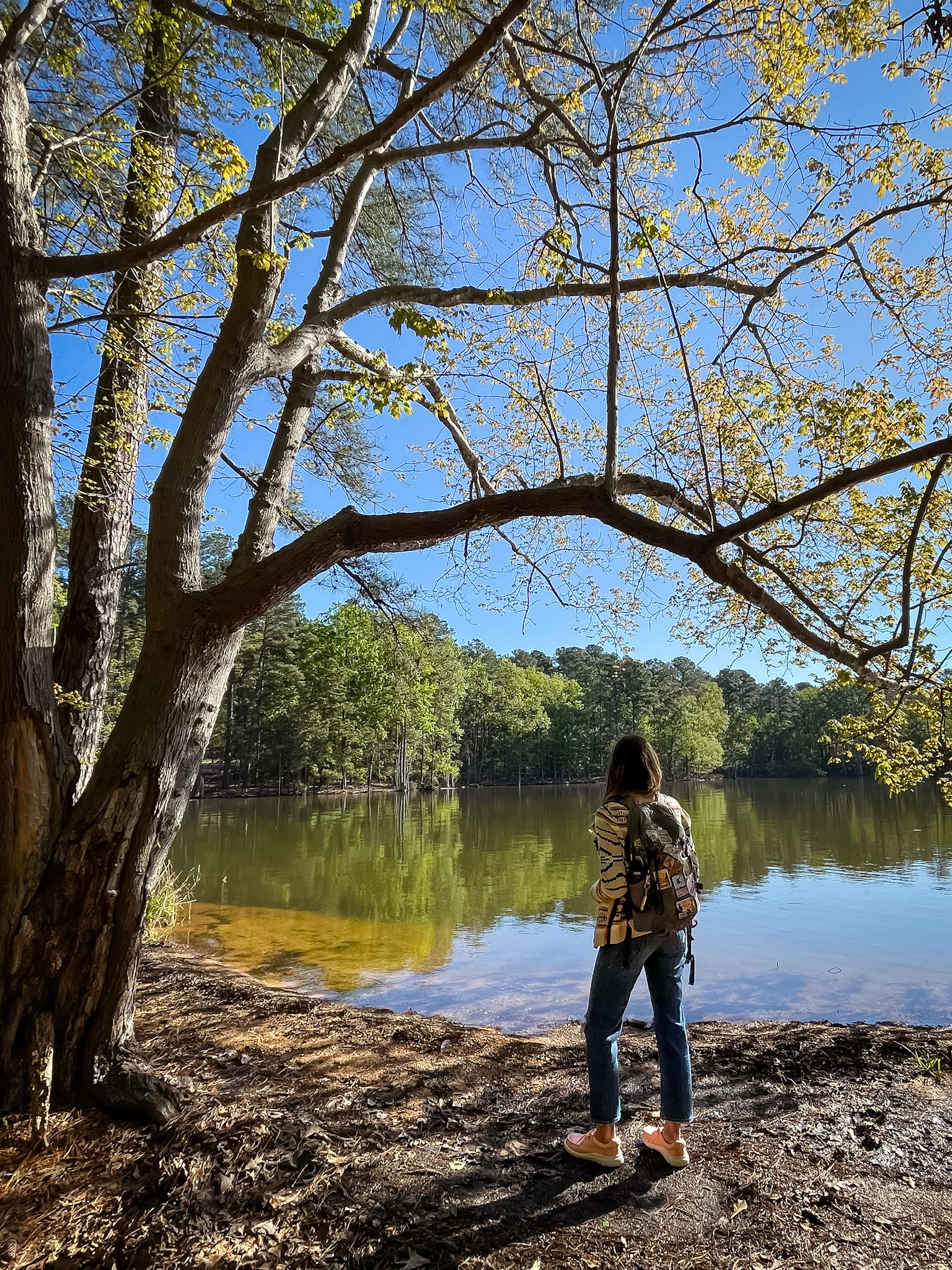 Lake Murray