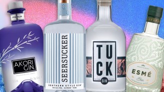 The Most Underrated Gins To Drink This Summer: Blind Tasted And Ranked