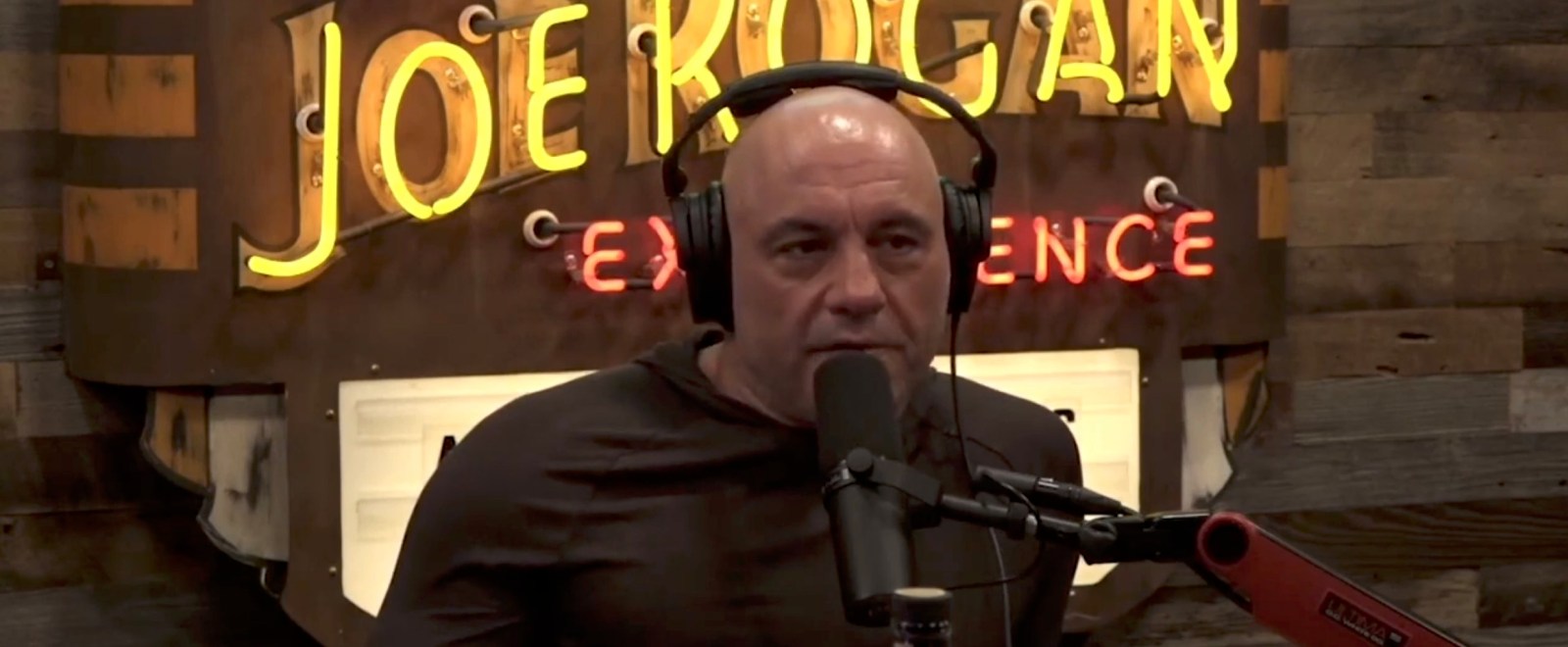 joe rogan