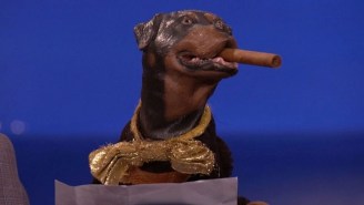 Triumph The Insult Comic Dog (Or, Rather, Robert Smigel) And Fellow ‘Late Show’ Staff Won’t Be Prosecuted For Their Capitol Arrest