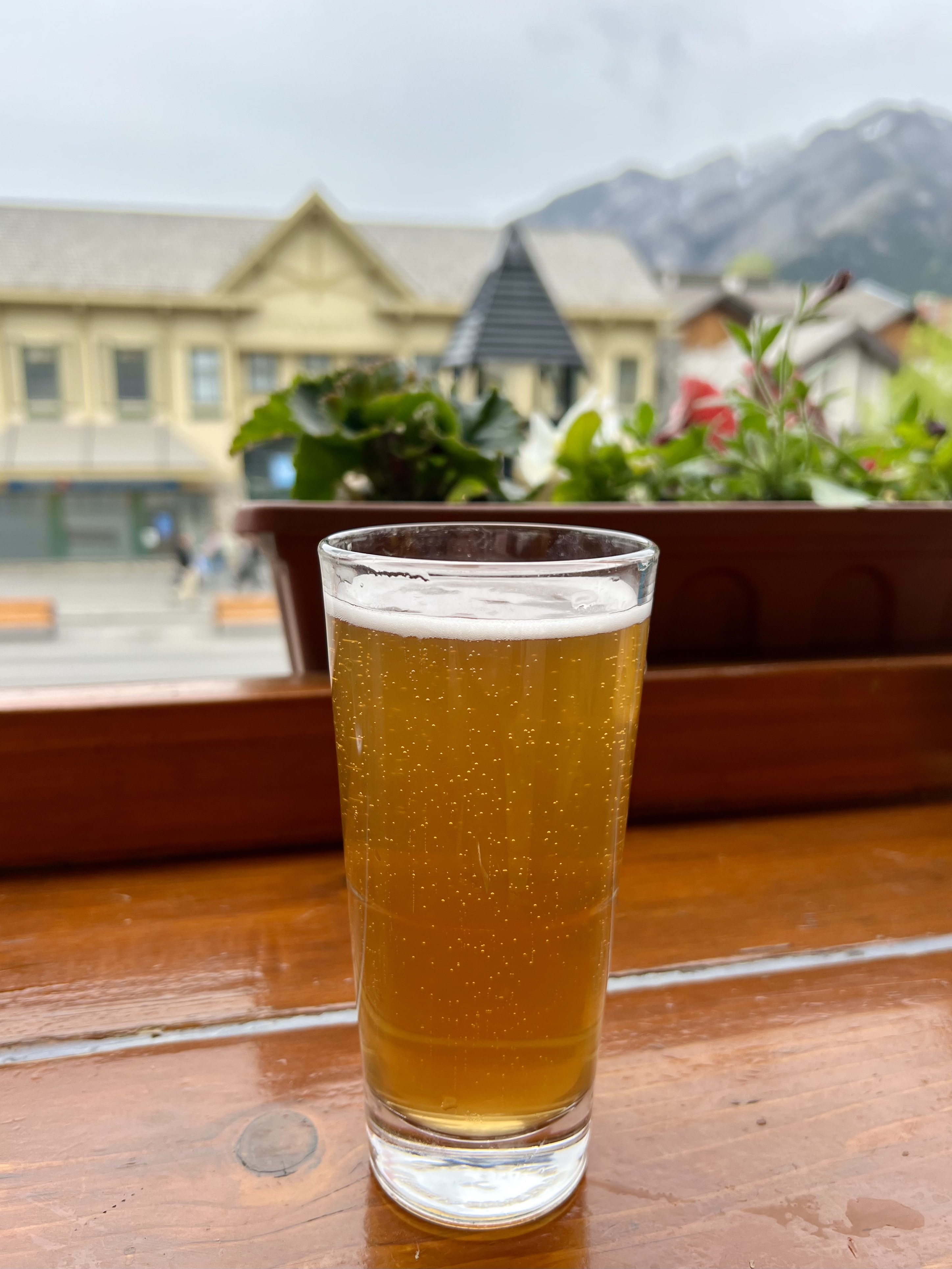 Banff Ave Brewing Co.