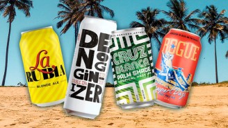The Best Beers To Bring To The Beach, According To Craft Beer Experts