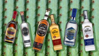 The Full Line Up Of Jose Cuervo Tequilas, Ranked