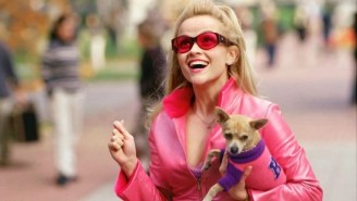 Reese Witherspoon Says ‘Top Gun: Maverick’ Has Given Her Some Ideas For A Belated Threequel To ‘Legally Blonde’
