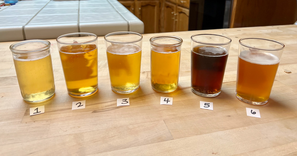 Trader Joe's Beers All Samples