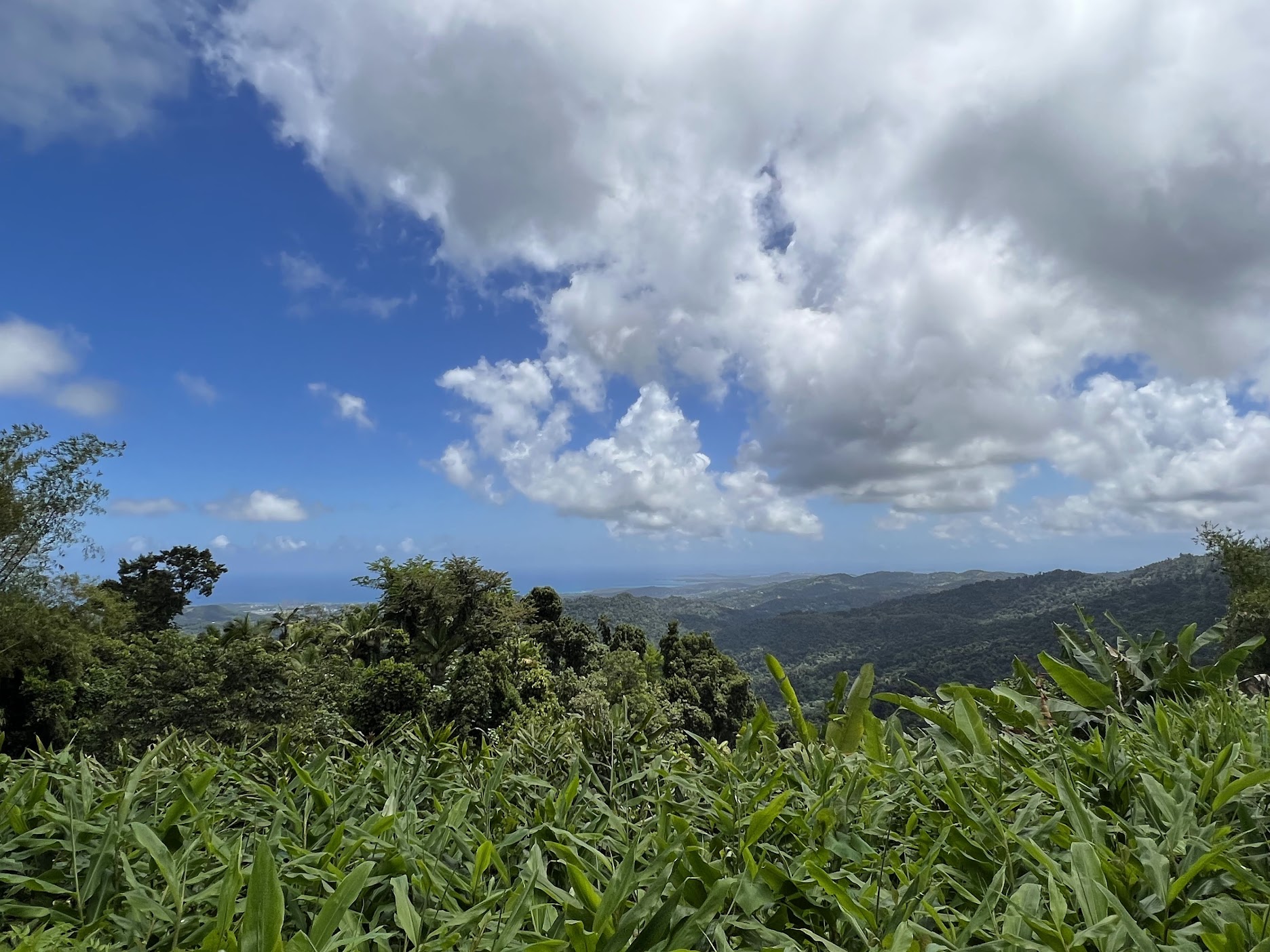 Puerto Rico