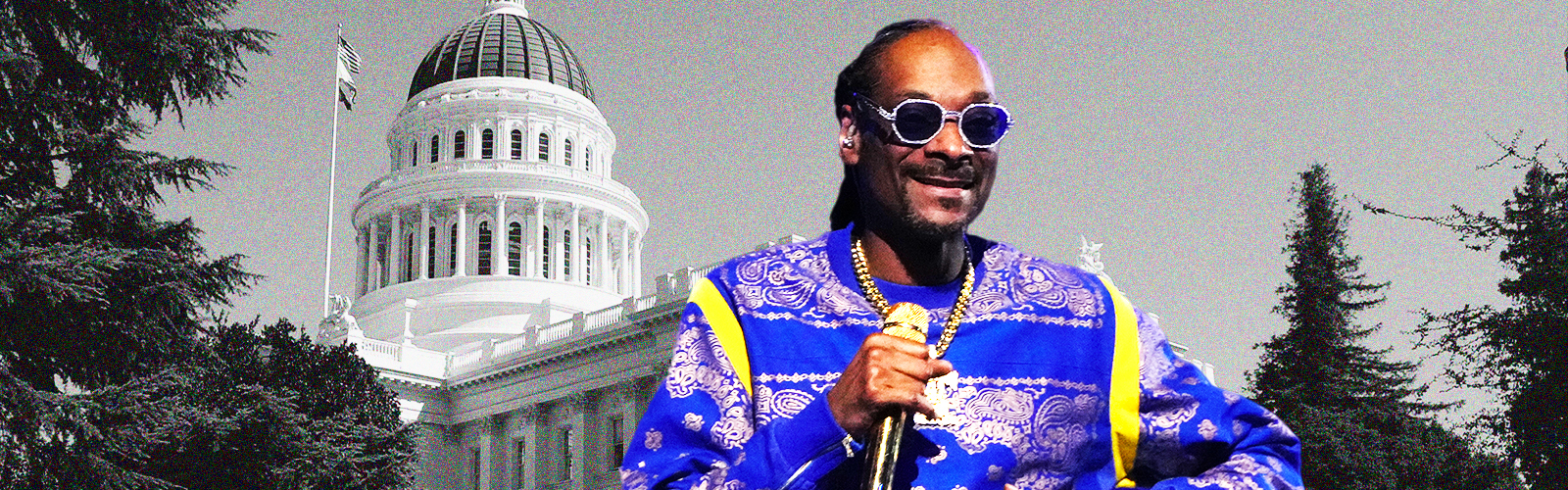 rap on trial california congress