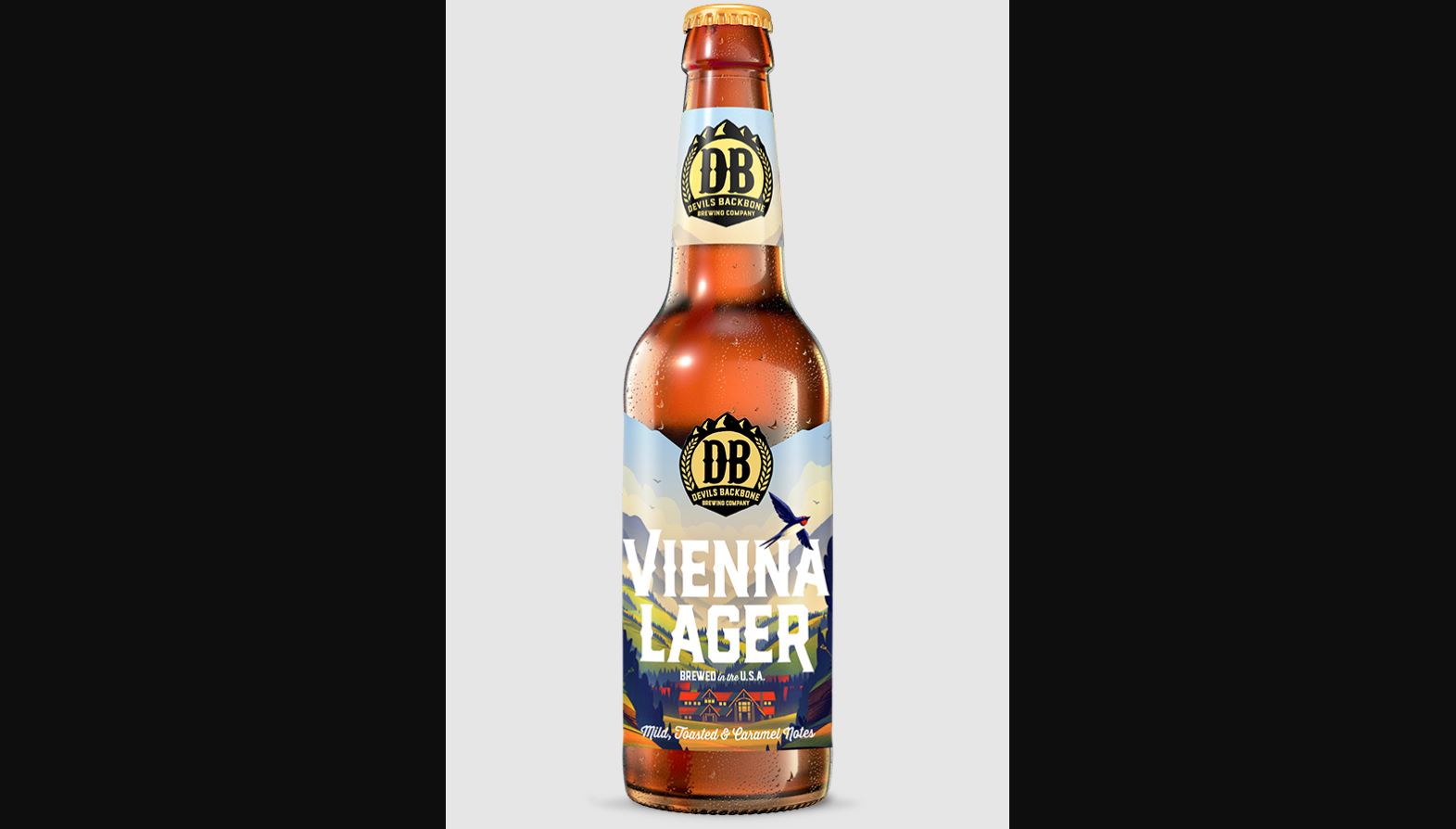 The 10 Best ViennaStyle Lagers For Fall