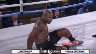 Le’Veon Bell Knocked Adrian Peterson Out Cold In Their Boxing Match