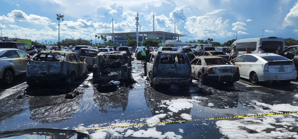 dolphins car fire