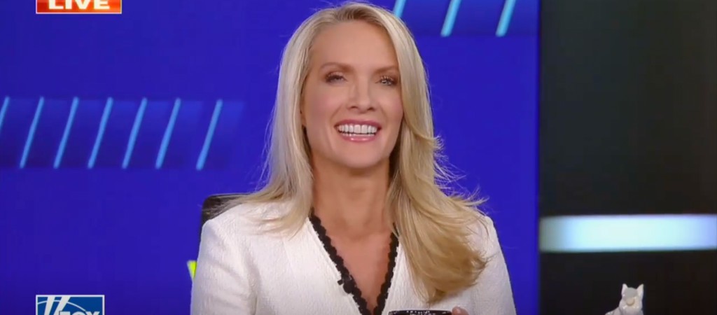 Dana Perino Joke The Five