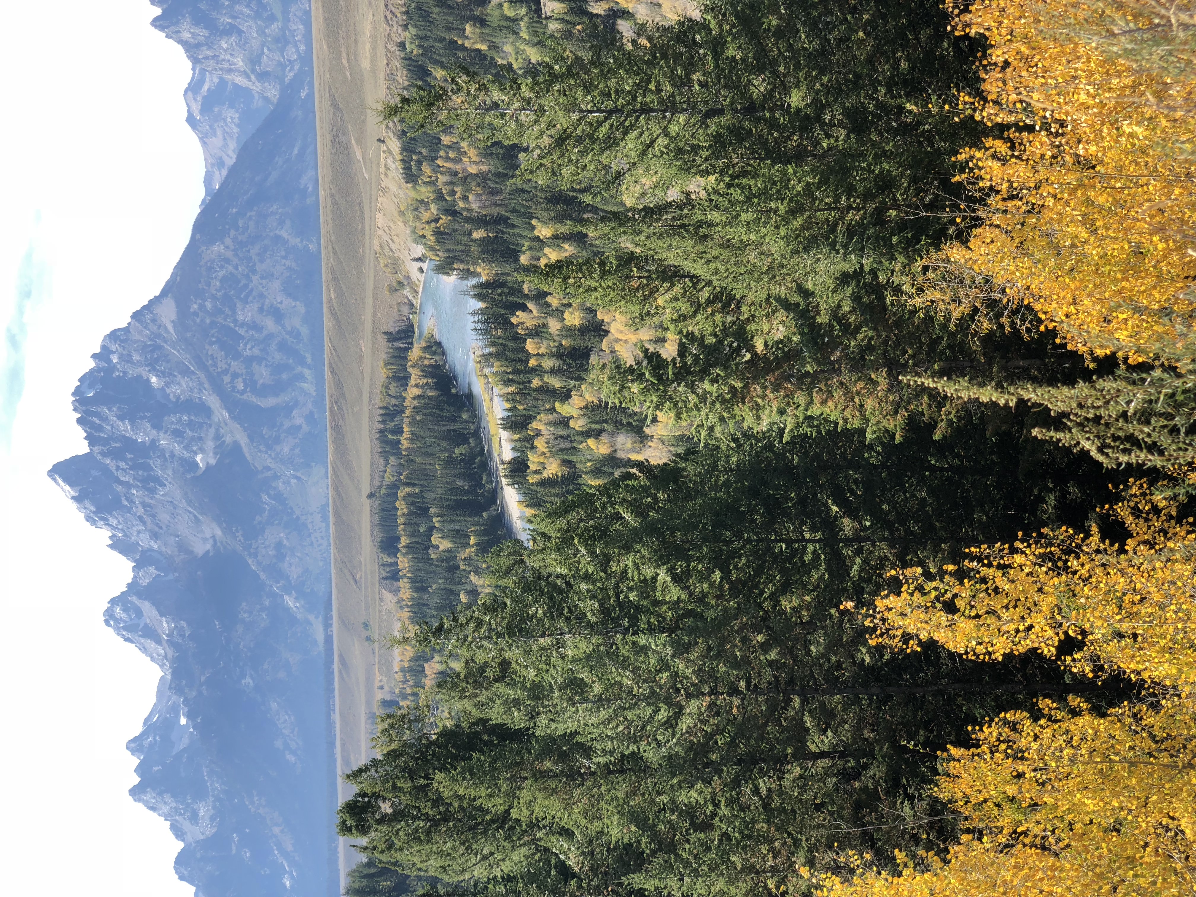 Grand Teton Fall Colors