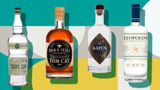 Spirits Experts Shout Out The Most Underrated Gins Money Can Buy