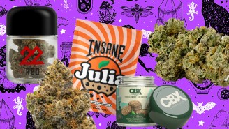 Happy Halloweed! The Best Strong And Tasty Weed Strains For A Lit Halloween Weekend