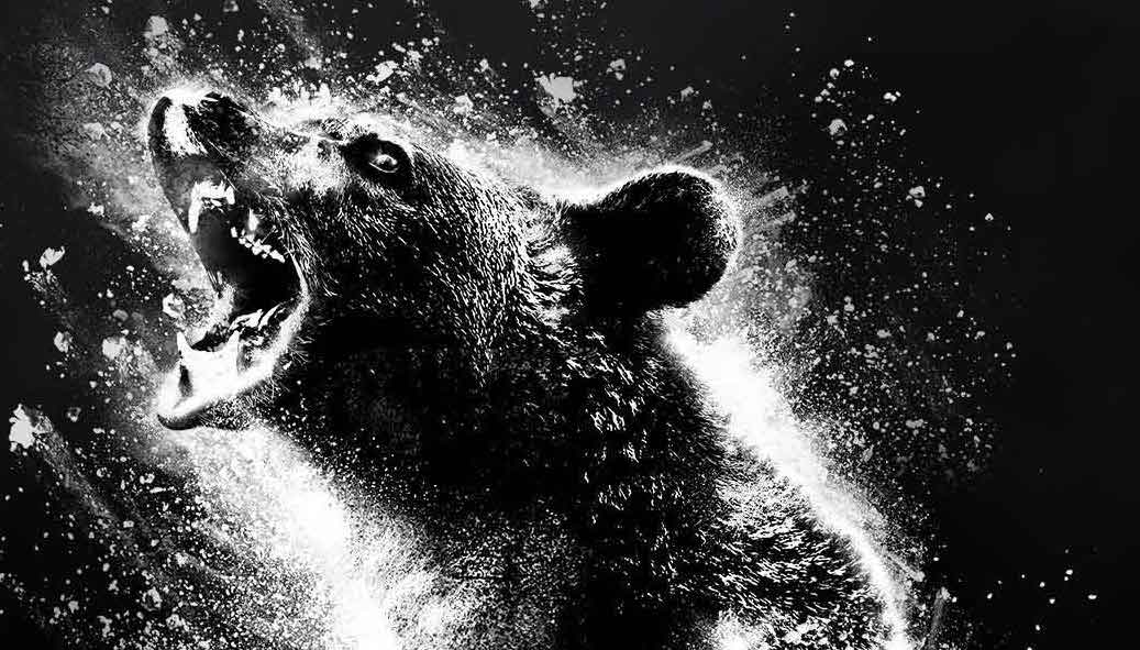 Cocaine Bear