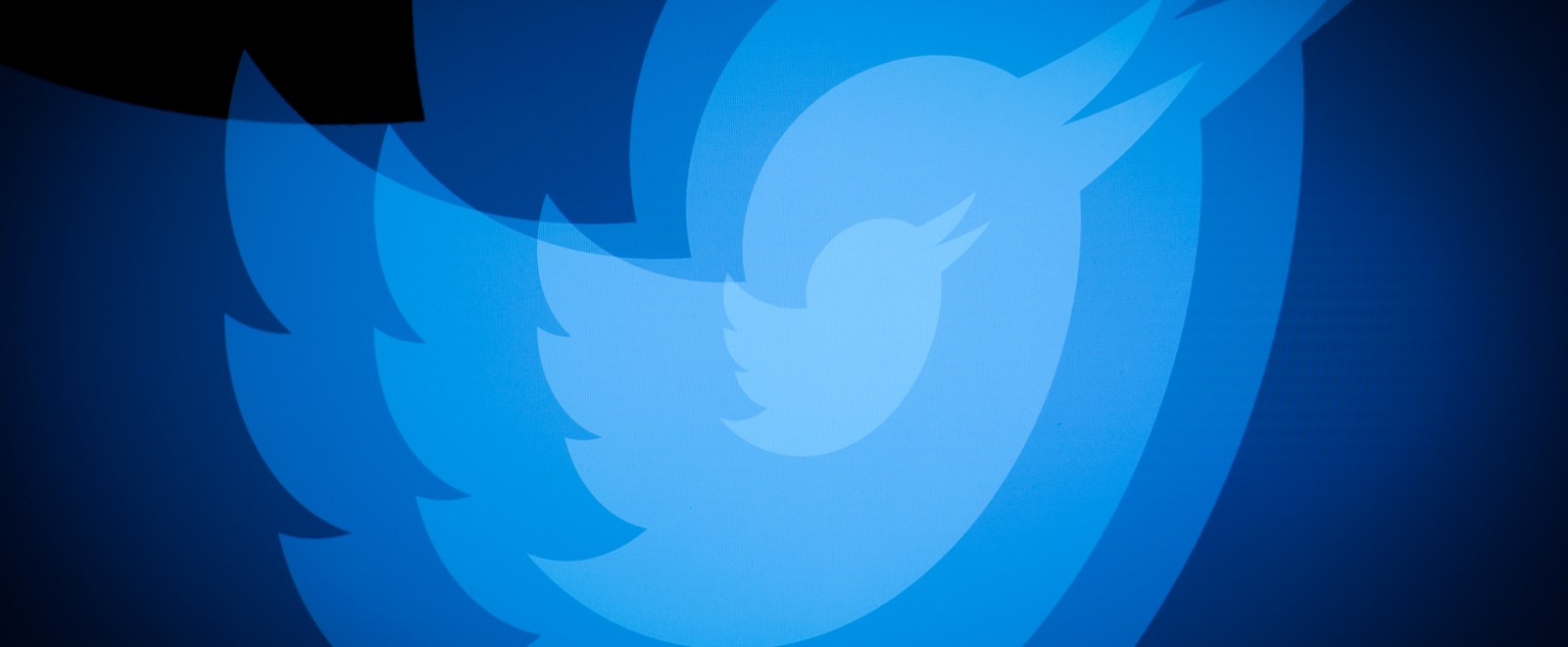 Twitter logo bird