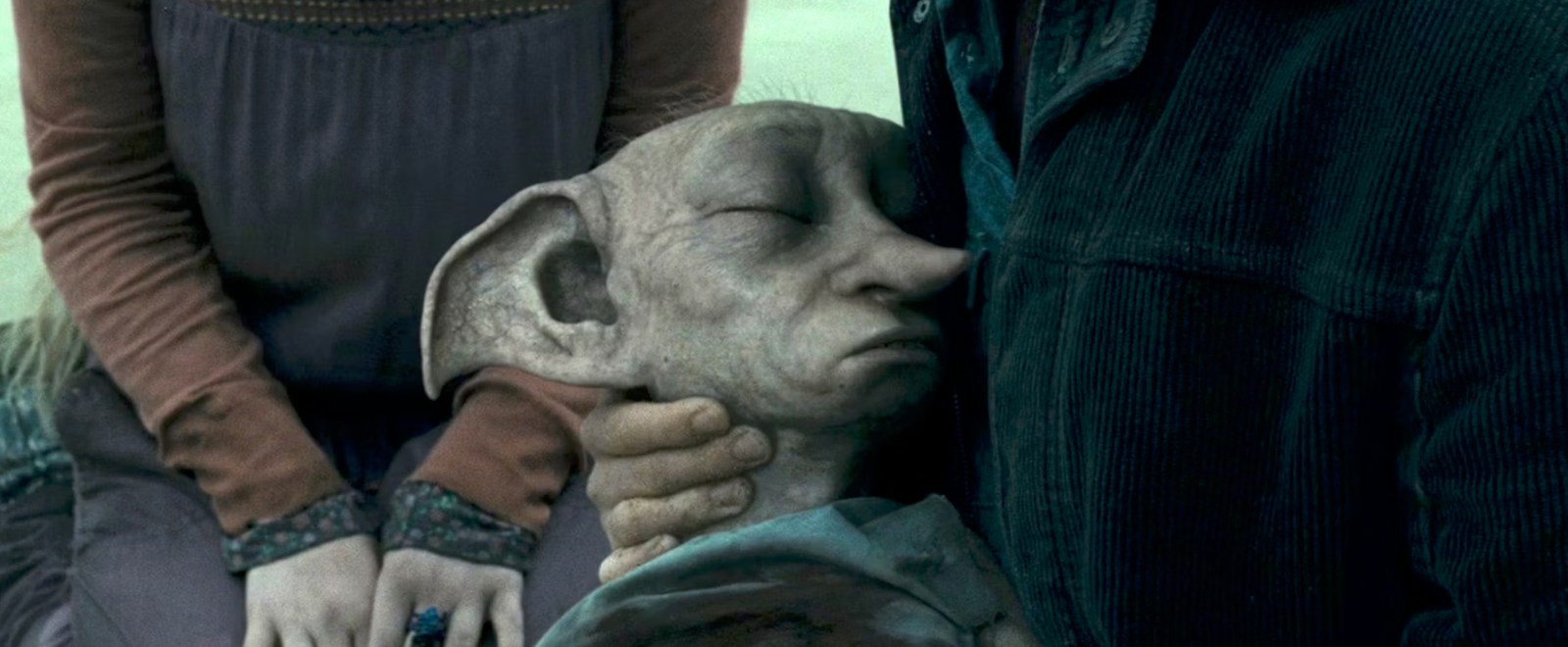 Harry Potter' Fans Can Visit Dobby's Grave (But No Socks)