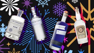 The Best Gins For Holiday Cocktails, According To Bartenders