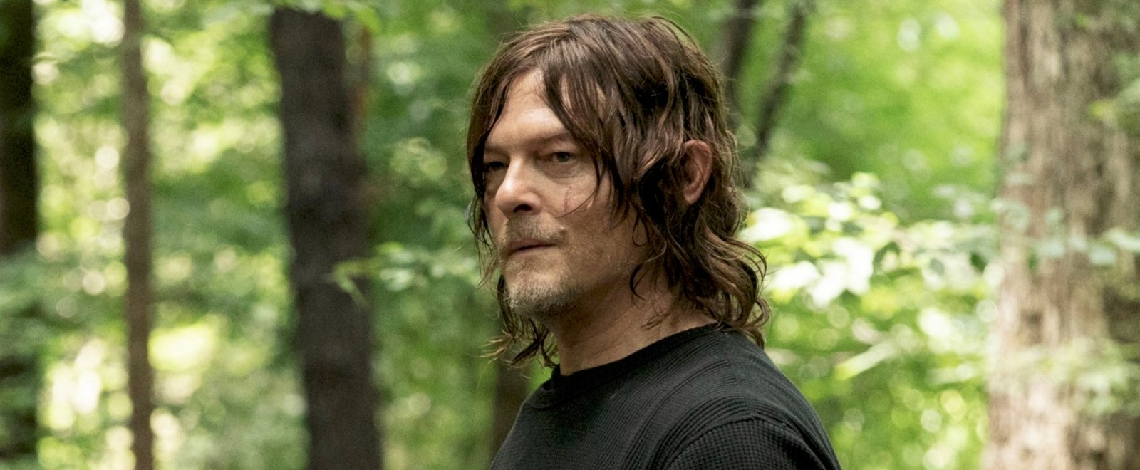 twd daryl