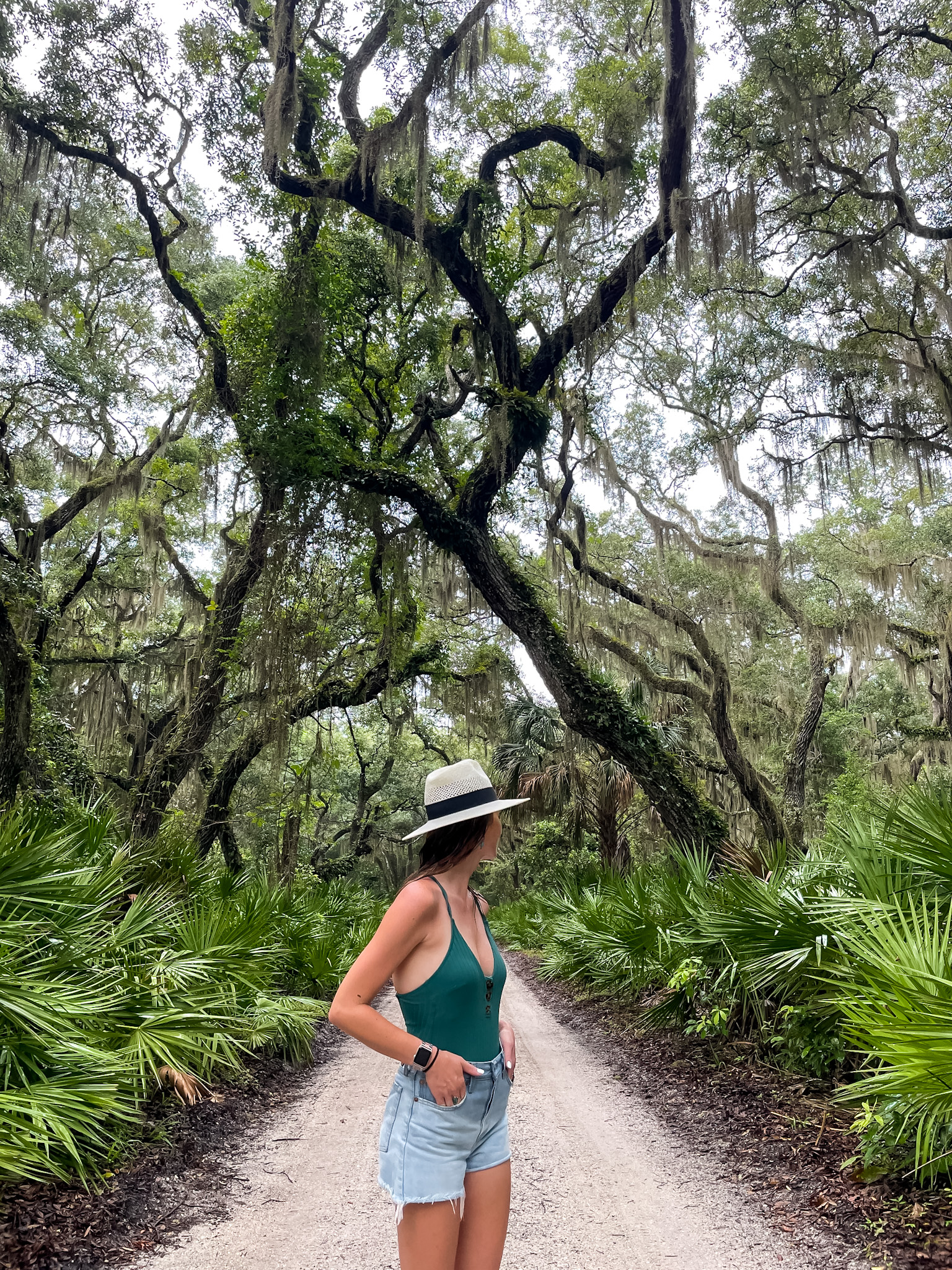 Cumberland Island Georgia