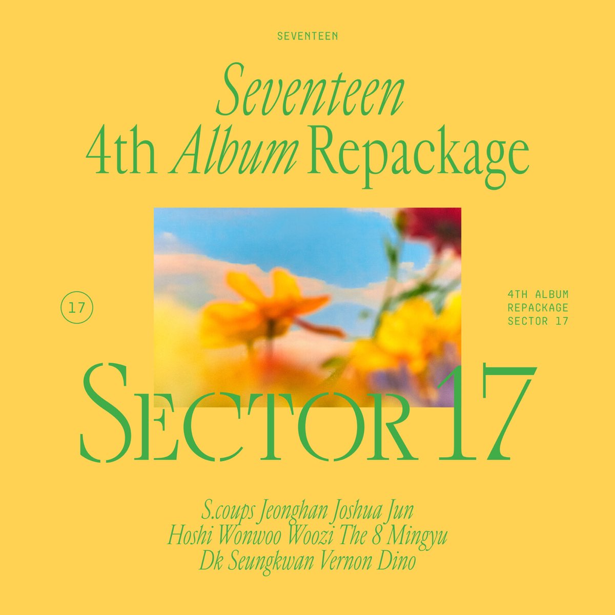 Seventeen Sector 17 album art