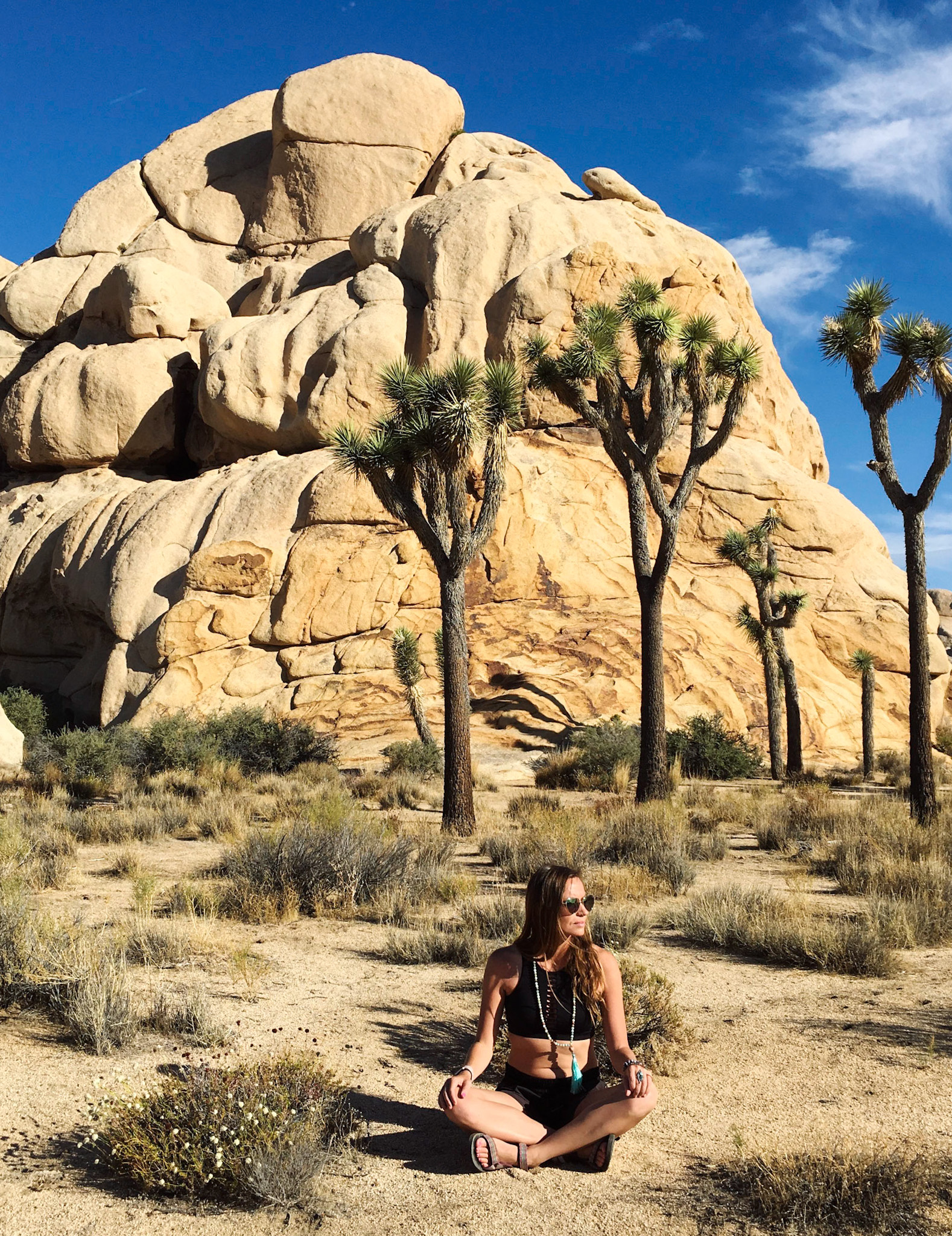 Joshua Tree