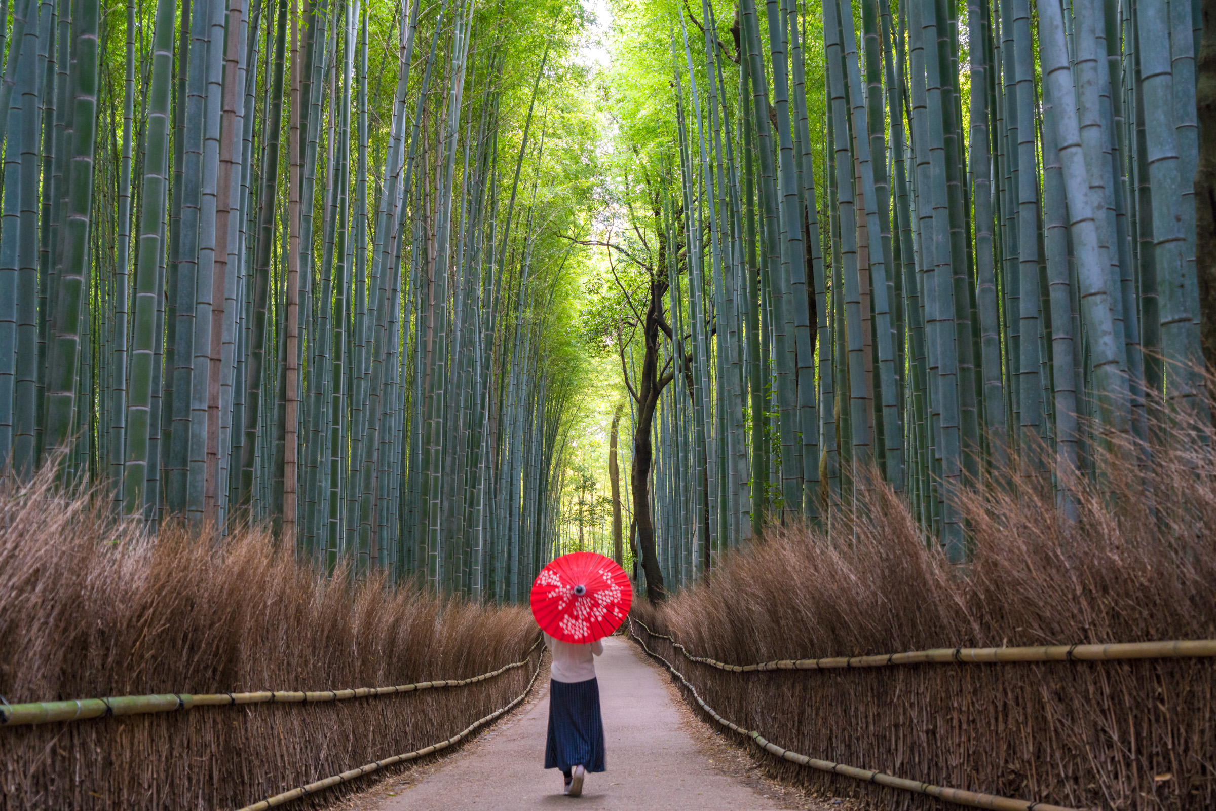 Travel, Japan