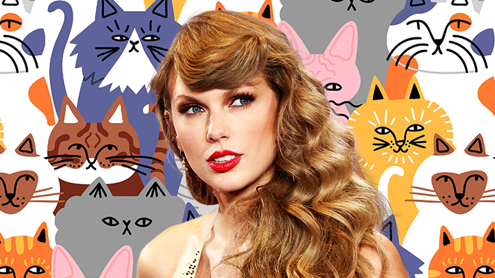 What Is Taylor Swift's Cat's Alleged Net Worth?