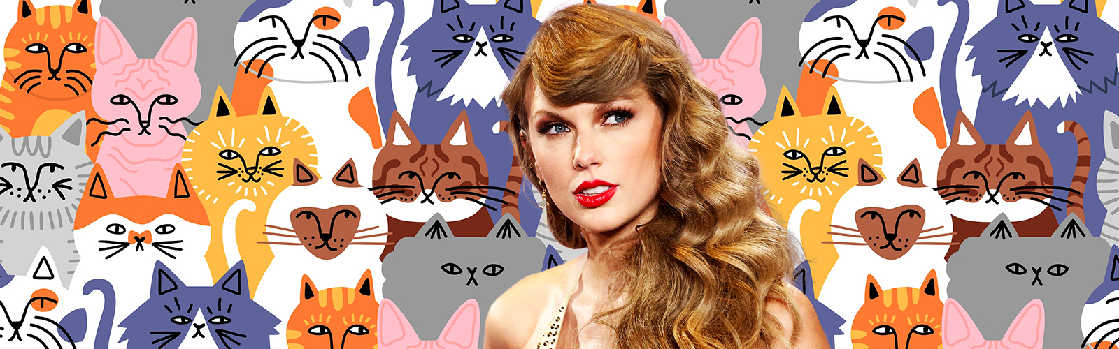 Taylor Swift cat