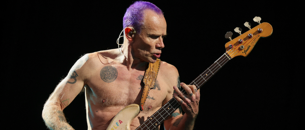 Flea New Zealand January 2023