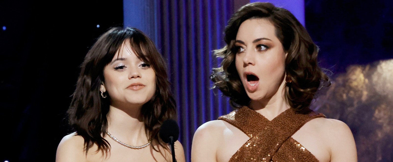 Did Aubrey Plaza Have A Wardrobe Malfunction At SAG Awards?