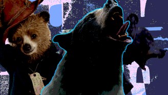 In Honor Of ‘Cocaine Bear,’ The Ten Best Movies About Bears