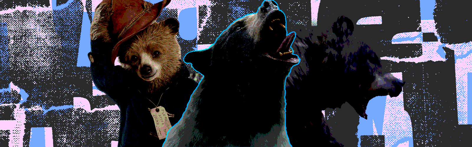Bear Movies Graphic