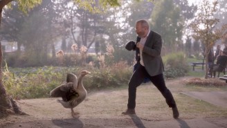 Bob Odenkirk Challenges A Goose To A Fight In The ‘Lucky Hank’ Trailer