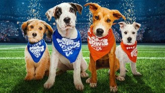 ‘Puppy Bowl XIX’ Had Its Biggest Ratings Ever Because, Seriously, It’s Dogs Playing Football, How Do You Lose?