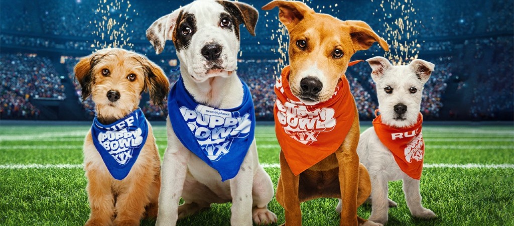 Puppy Bowl XIX