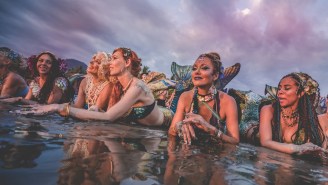 Envision Festival’s 2024 Trailer Previews The Planet’s Wildest Jungle Party