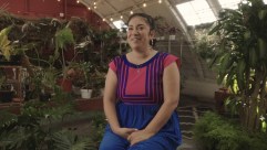 Sandra Mejia apporte le pouvoir de guérison des plantes au désert vert du centre-sud de Los Angeles